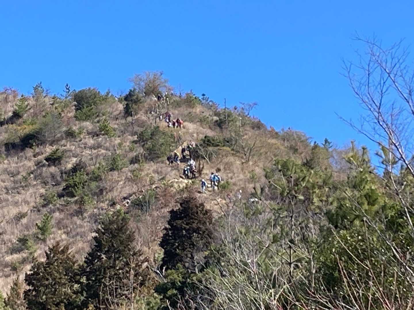 五瀬山から急坂を降ってくる参加者