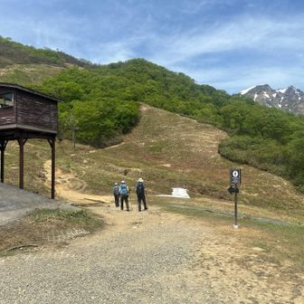 天神平スキー場の横が登山口