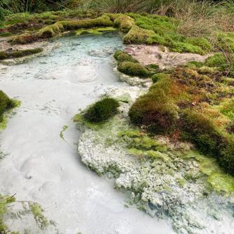 湯の花が堆積して白っぽい水底に、青緑のキレイな水が映えます♪♪
触ってみると、鉱泉なので冷たかったです(^^)