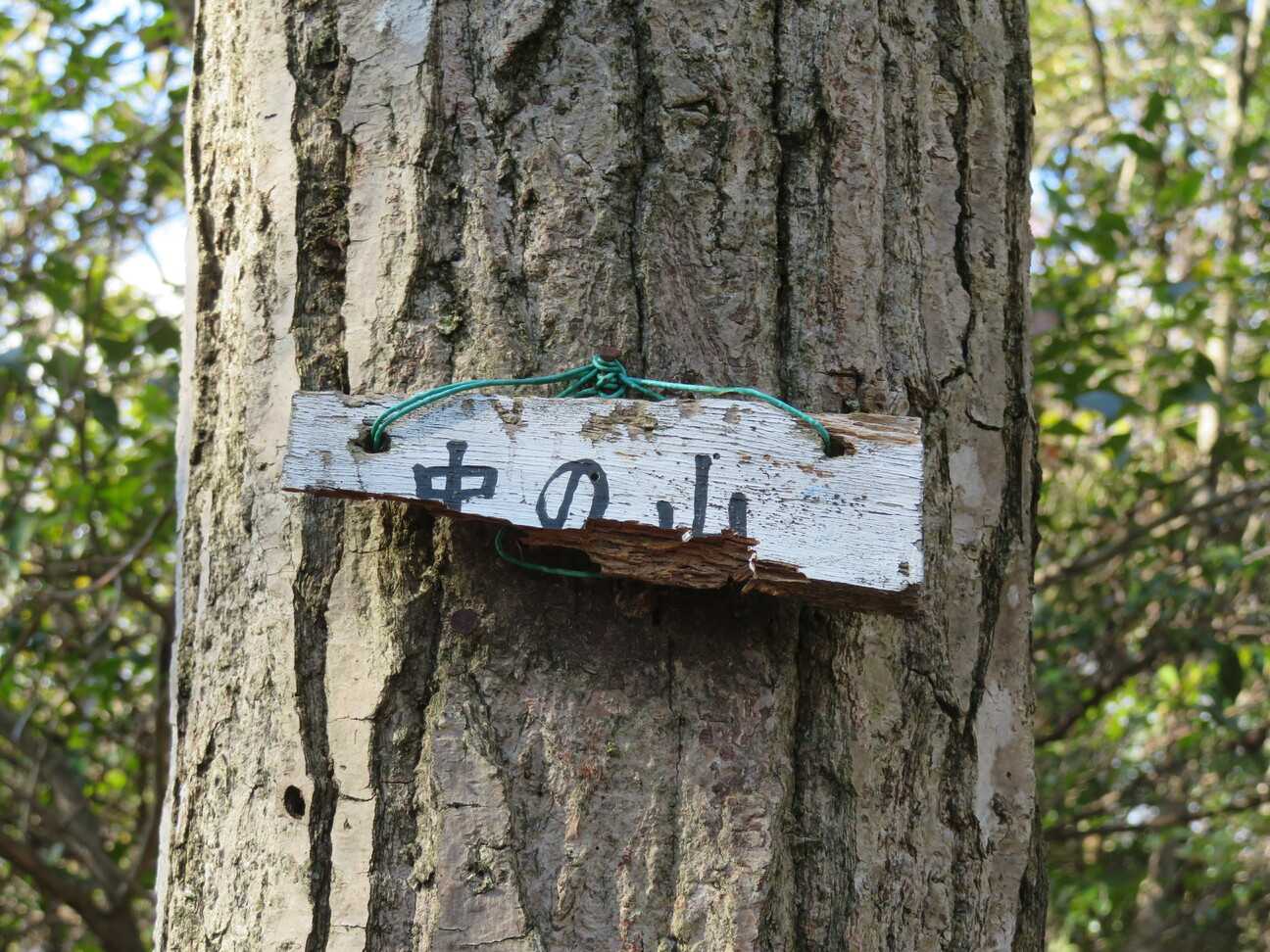 下の方の中の山に来ました。(ややこしい)
中の山の看板は2つあるけど、どっちが本物なのでしょうね？
ふはははは、バカめ、こっちは本物だ！ ぐわぁっっ！！