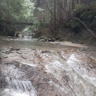 ちょっと長めのコースですが　橋が見えるとゴールとなり　とても分かりやすいです　楢原山への登山口となっています