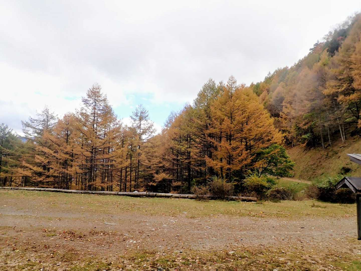 下山です。