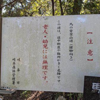 馬の背終わり
もうじき「前期老人」になりますが
まだ登るつもりです✊😏