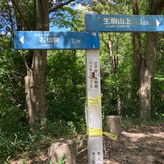ここから虫地獄のはじまり😨