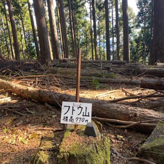 トウフと読み間違えた😁