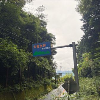 大弛峠ってこんな感じなんだ