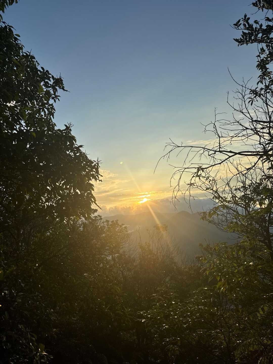 塔之岡登山口-右田ヶ岳 往復コースの写真