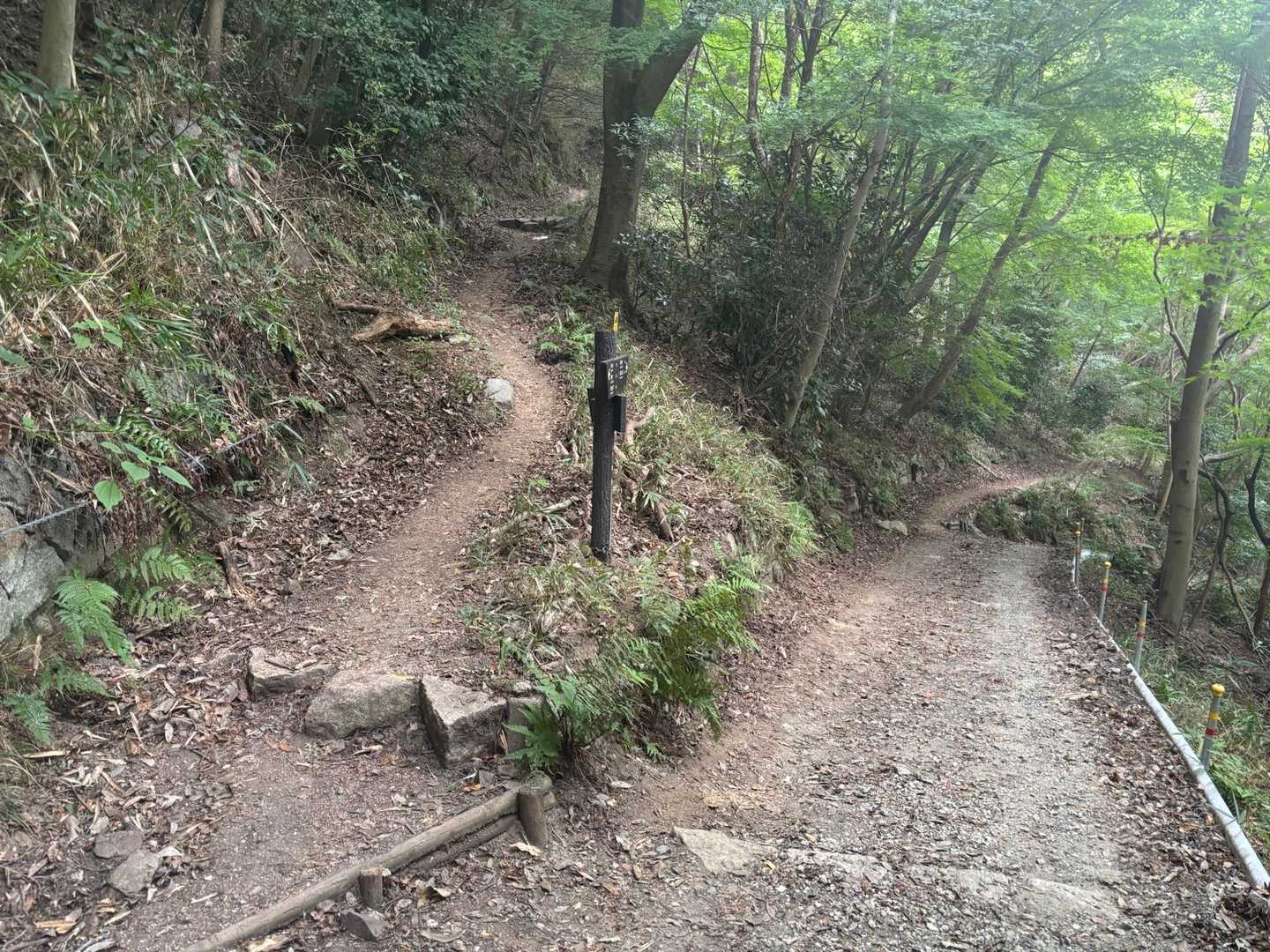 分岐