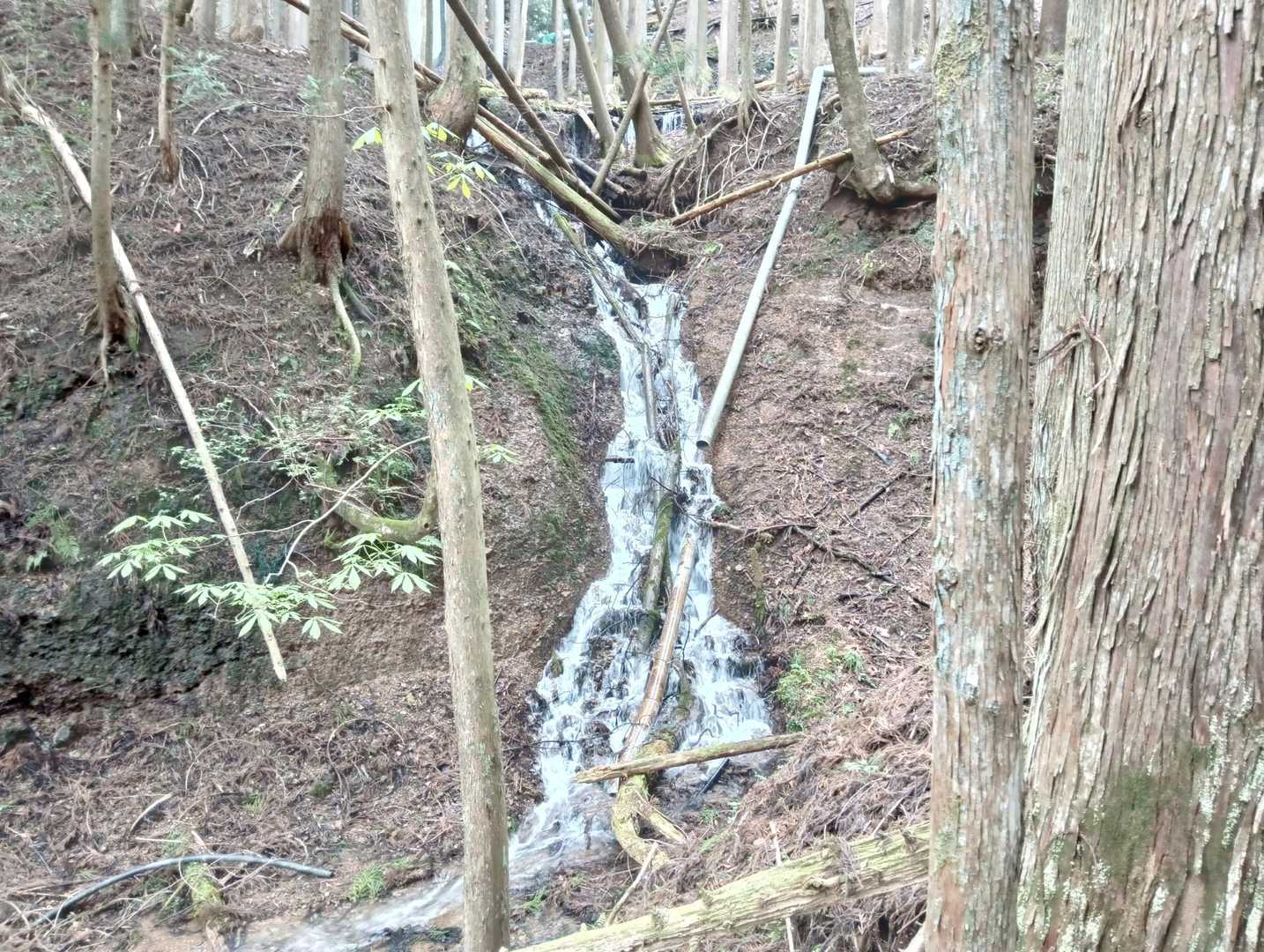 自然の滝🤔