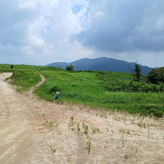 葛城山頂