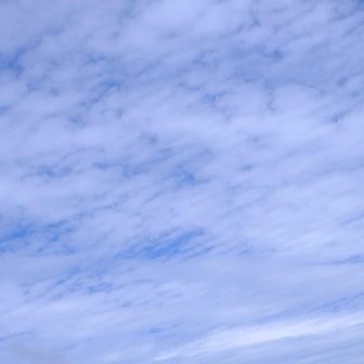 空が高くなってきたね