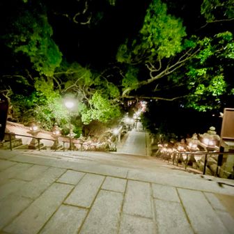 静かな時間🟢
少し走って本日の活動終了🙇