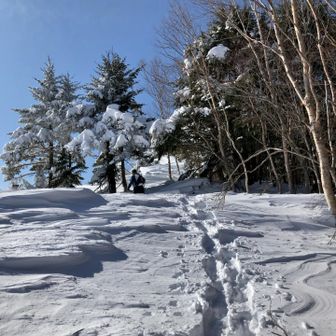 冬の恵那山を満喫 / やまーゆさんの恵那山・大判山・神坂山の活動