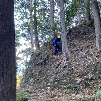 林道に繋がりました。
👴：【この人、午前の鳳来寺山⛰️・瑠璃山⛰️より、午後から天神山⛰️・中久津山⛰️の方が楽しそうなんだよな😆】