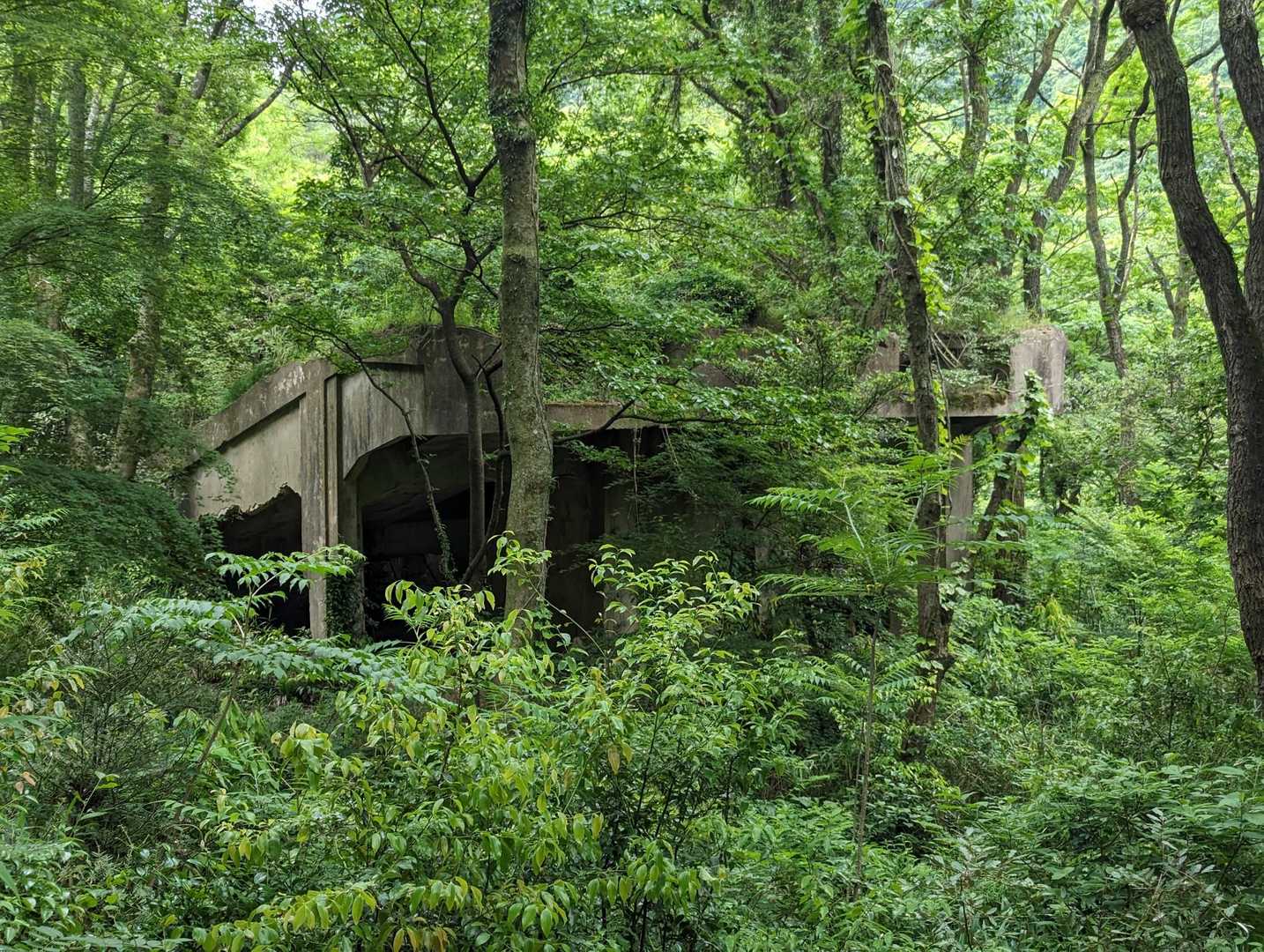 これなんやろー、道路のつくりかけ？遺構