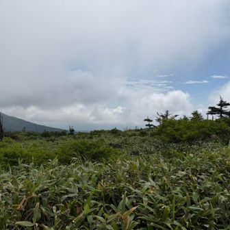 なんと登り始めて晴れ間が😊