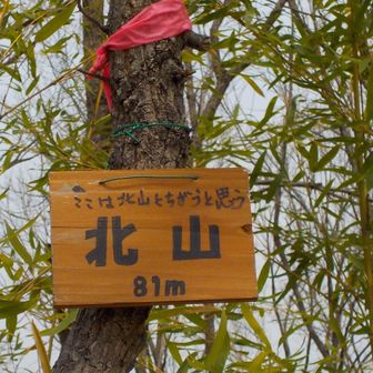 ㉒北山

ちがうらしいけど北山
