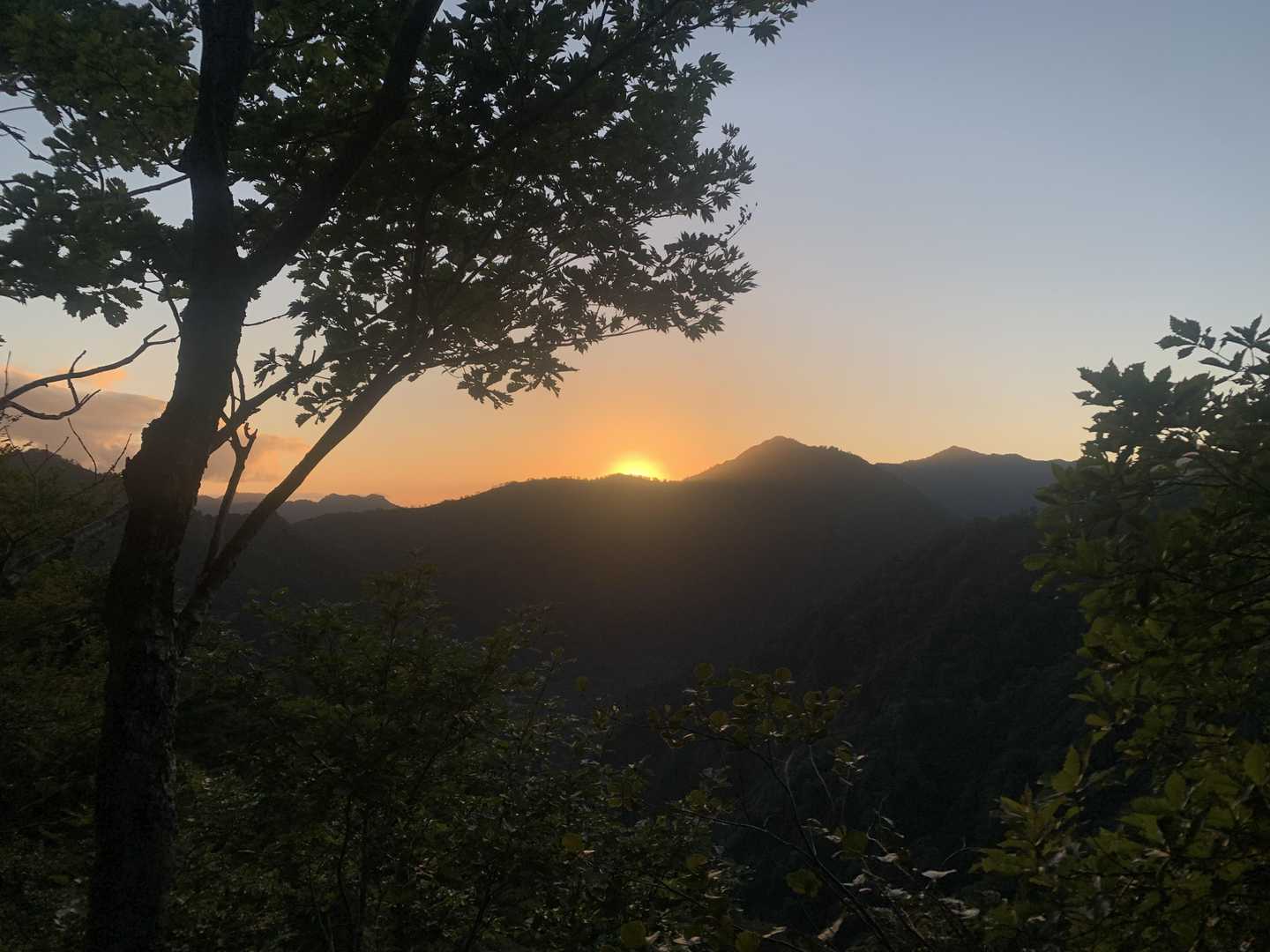 陽が登りました