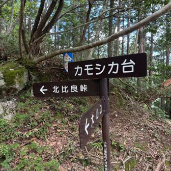 カモシカ台で一休み