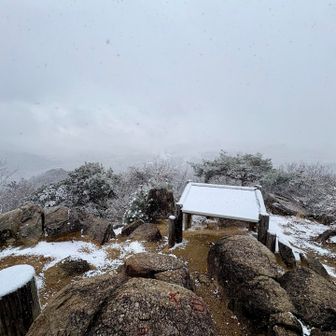 広島市街地や安芸アルプスも全く見えんほどホワイトの世界🤍
日浦山でこんなの逆にレアすぎじゃけん😆