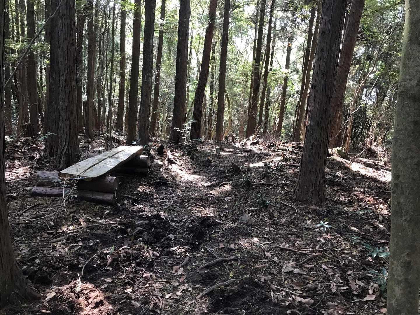 西帝釈山にあるベンチで少し休憩
