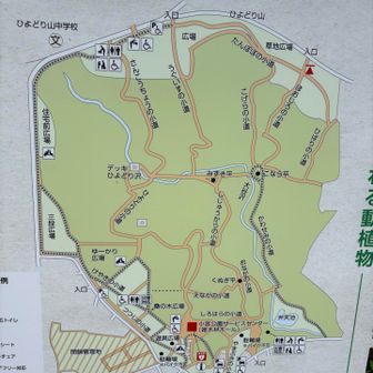 地図〜
右上が『ひよどり山』です⛰️