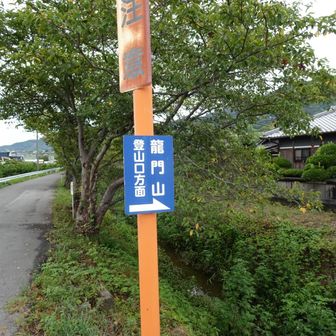 早くから表示あり