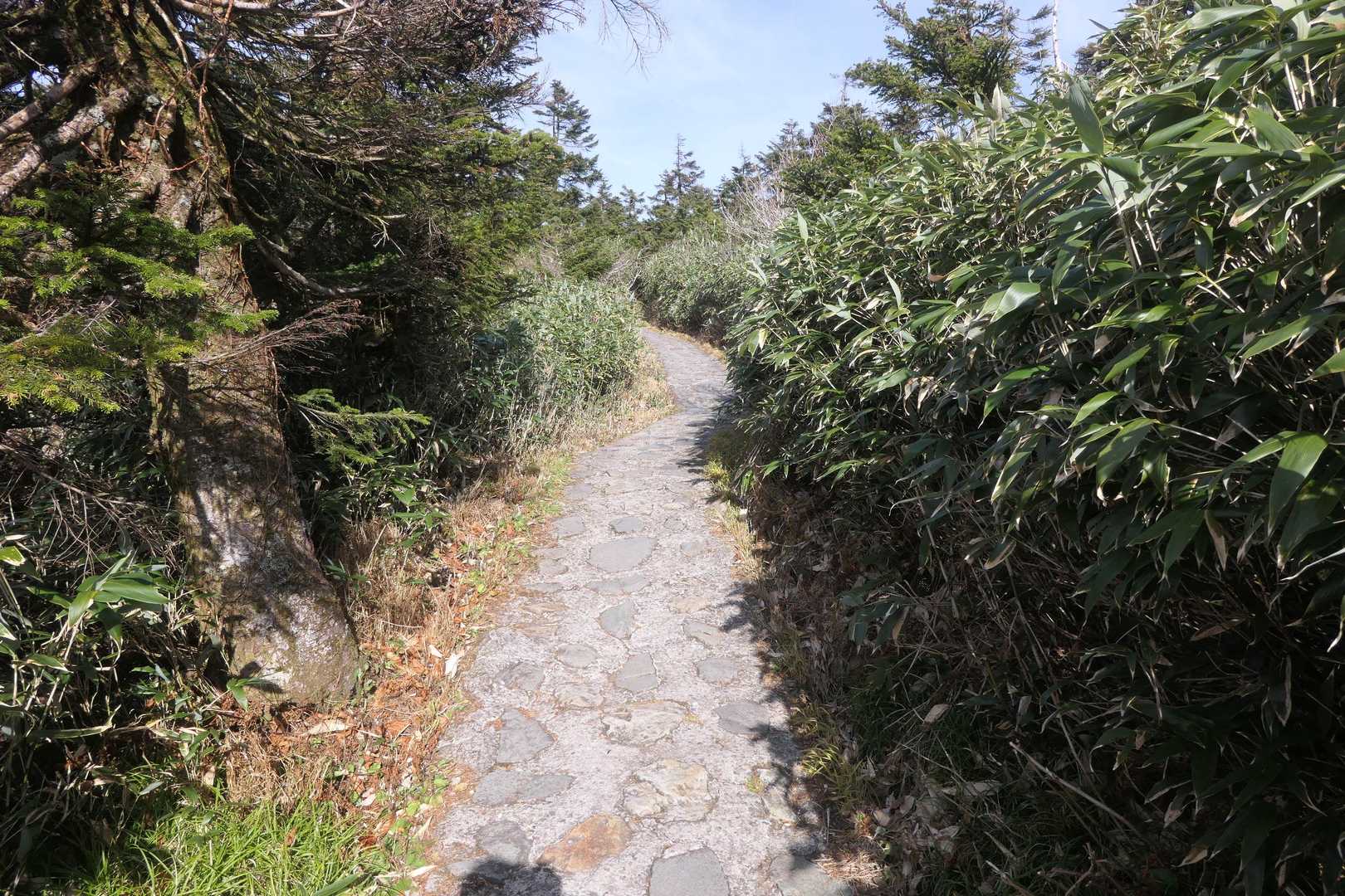 頂上までは石とコンクリートの道です。