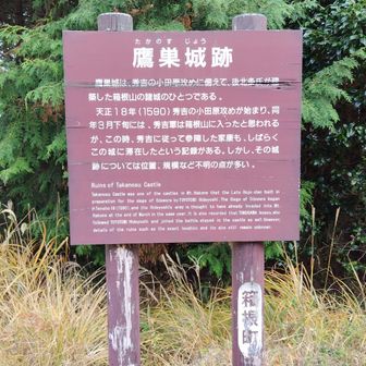 ここが鷹巣山山頂らしい