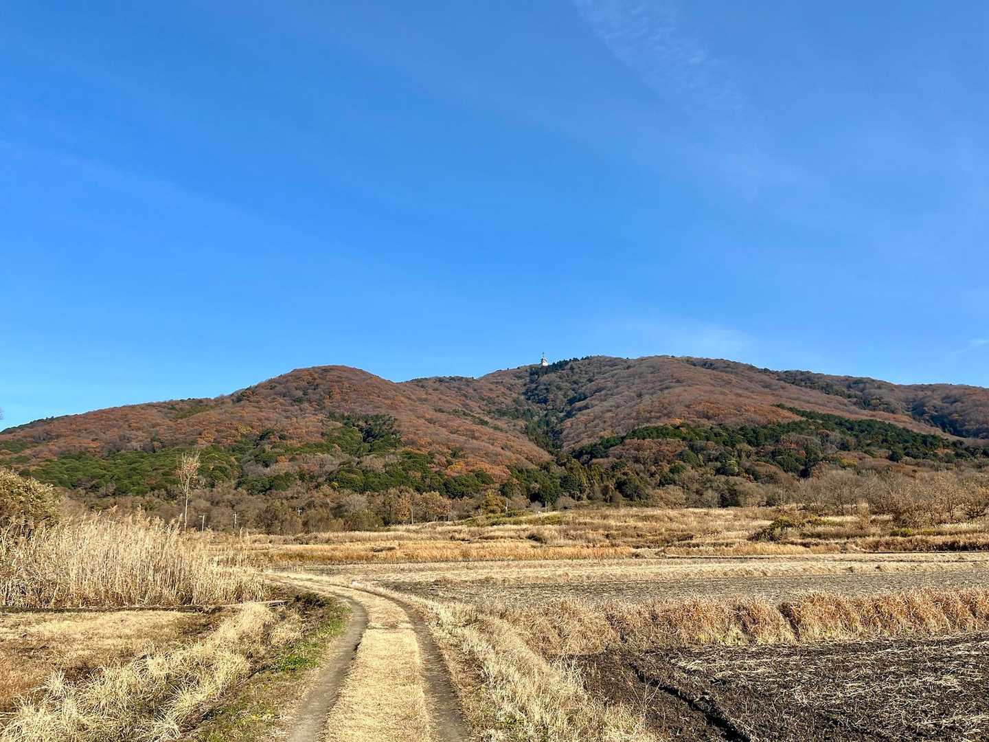 紅葉の宝篋山⛰️