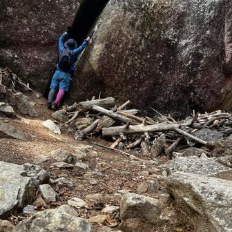 鬼滅の岩みたい🪨