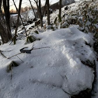 サングラスが吹っ飛びました😅