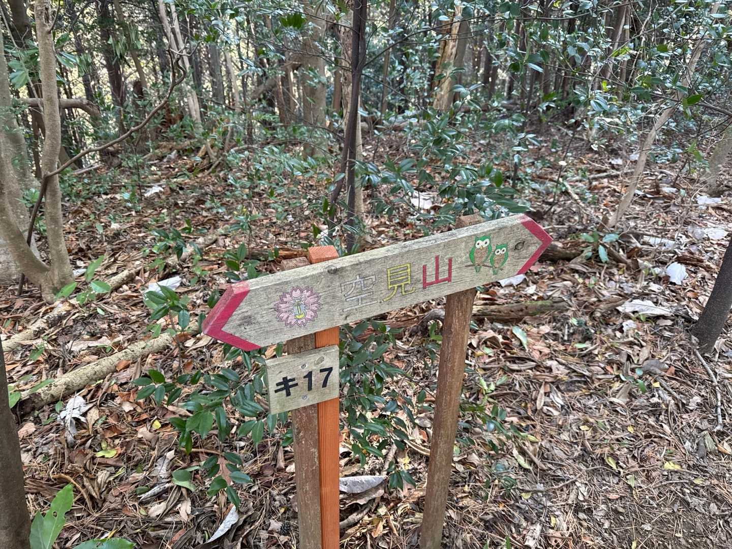 額堂山-森ヶ嶺-ふっこし峠-高野御前山-子安堂峠 周回コースの写真