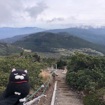もう一枚、ゴンちゃん