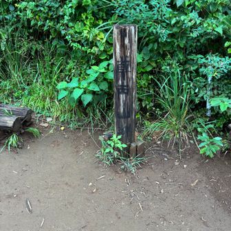 草戸山に到着です！
2週間ぶりです☺️
