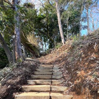 虫よけスプレーするの忘れた×左を通る人が少ない？×気温高い→初沢山山頂までメマトイのような羽虫がたくさん飛びまくりでした..