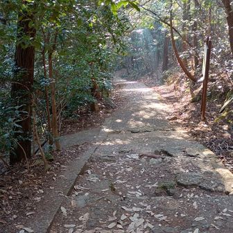 鹿嶋神社へ続く石の階段ですが…段差と歩幅が合わず歩きにくい
登りで使えばそれなりに疲れる階段です