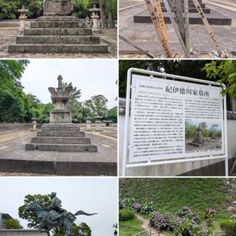 報恩寺(紀州徳川家御廟)。

徳川吉宗像。

和歌山城公園。紫陽花。