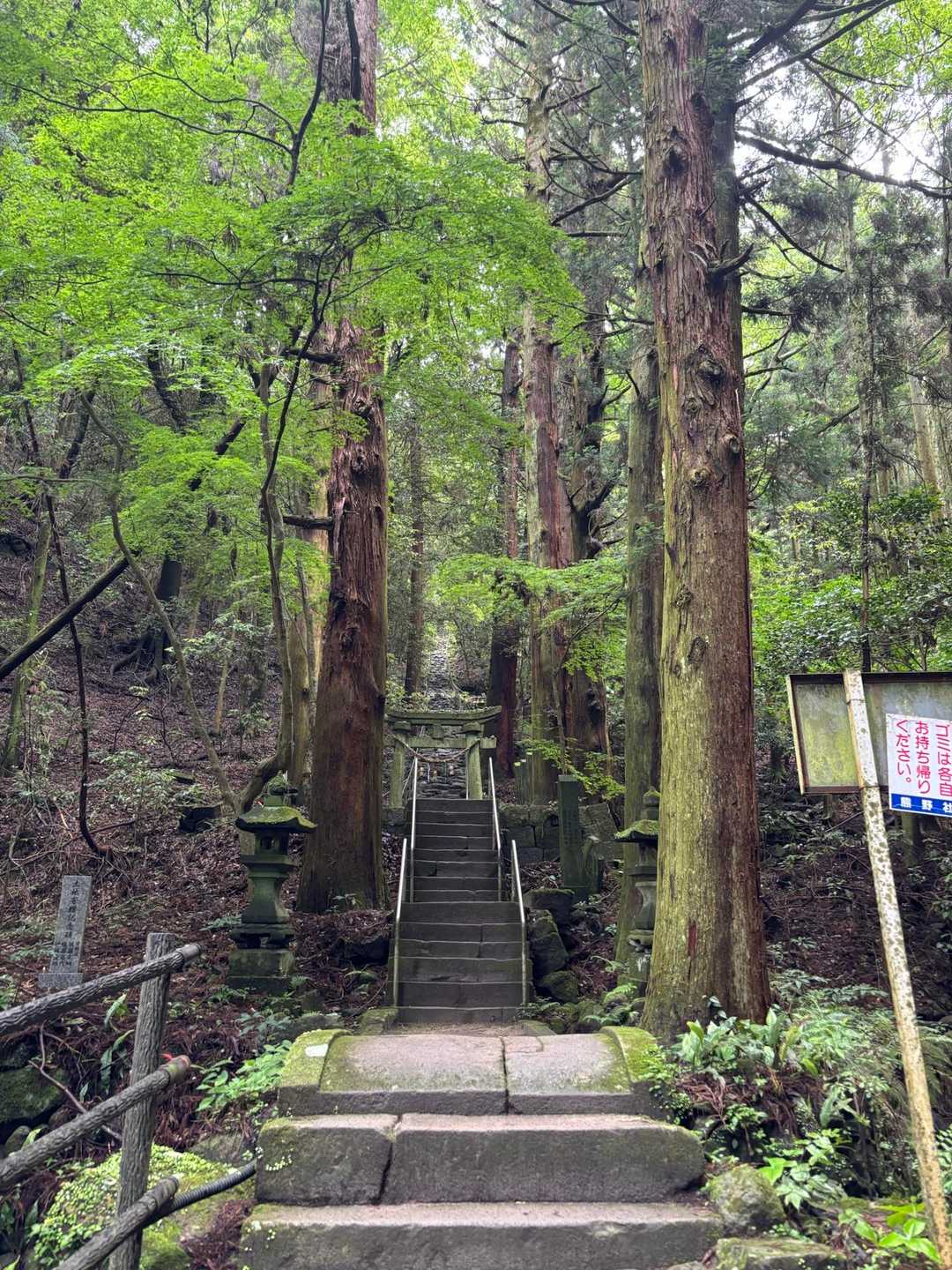 👍
引き返す気力無く
アスファルトウォーキング🚶