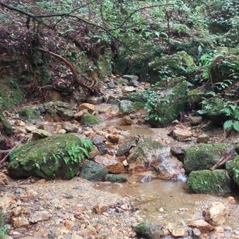 沢沿いが多いので涼しく感じます