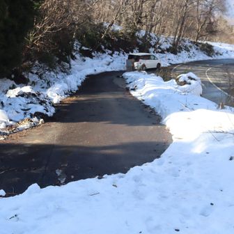 駐車地に他の車は無かった。
日曜日なのに山行中、誰にも会わなかった。