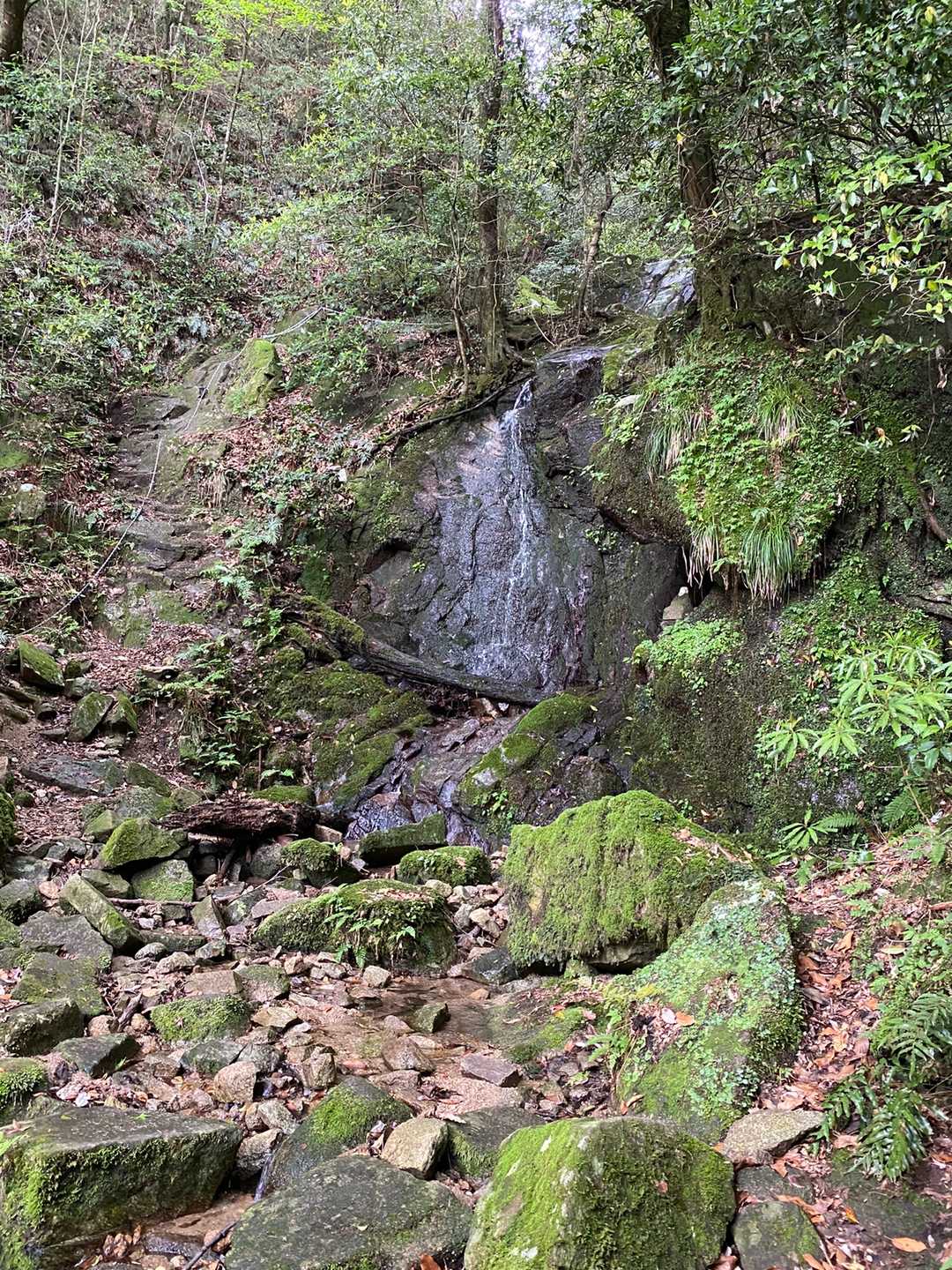 三郡山 往復コースの写真