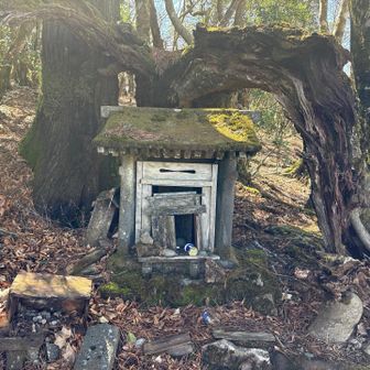 山頂から下り始めるとすぐに古びた祠が出てきました。