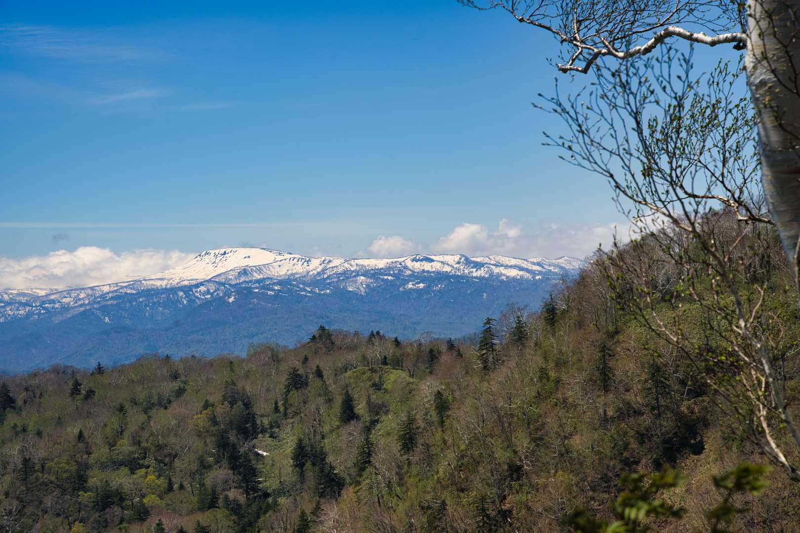無意根山(*´･ω･`ฅ*)ﾔｧ
まだ白いですね