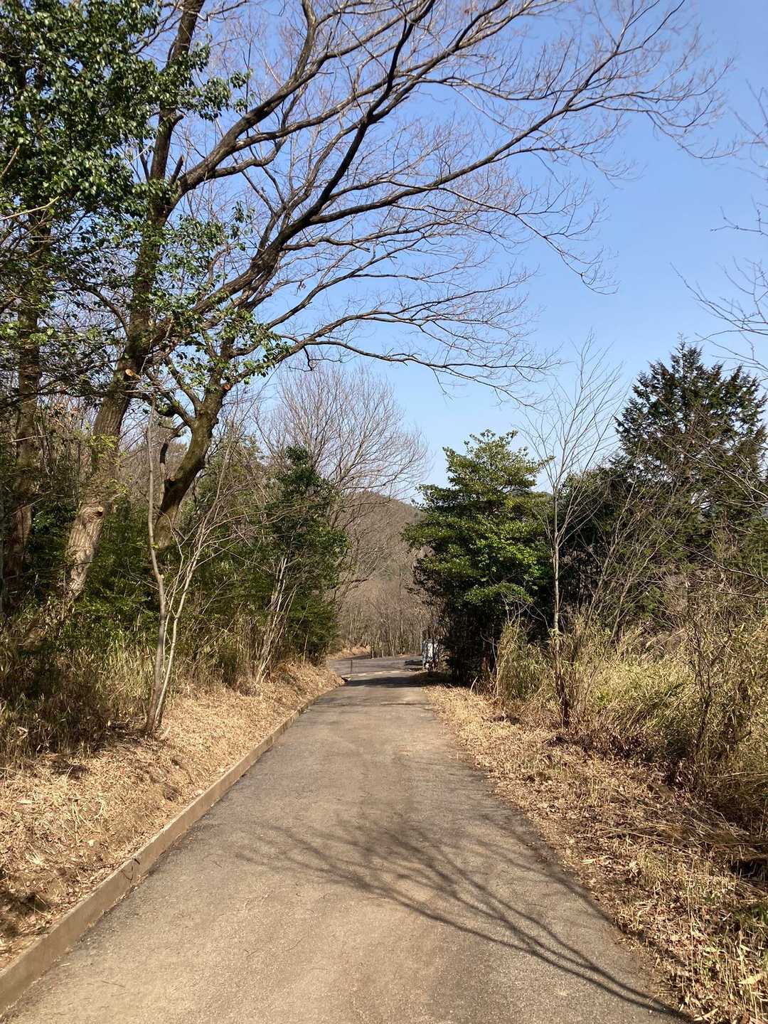 駐車場迄ひたすらアスファルト歩き