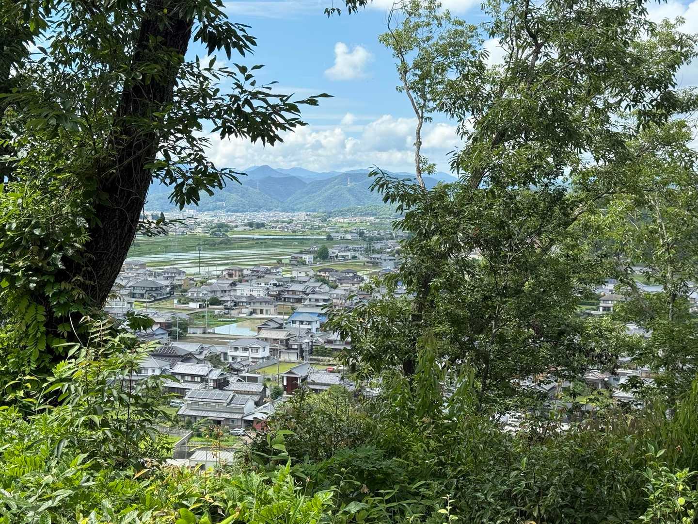 木の間から民家が見える✨