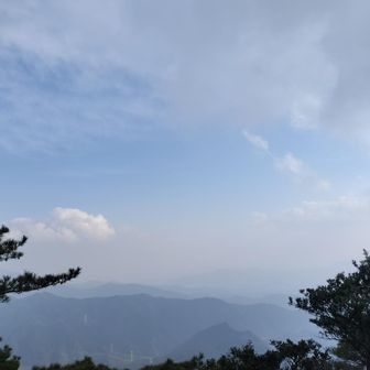 今日は朝から白っぽい