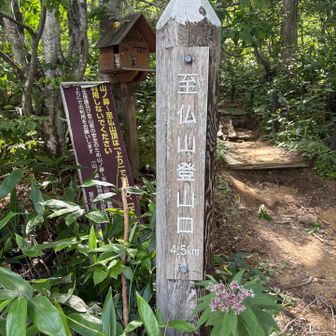 お疲れ⛰️