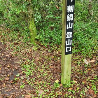 分岐点