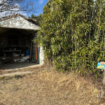 ようやく弥山神社に参拝⛩️